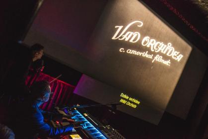 023 DziekieOrchidee 20231209